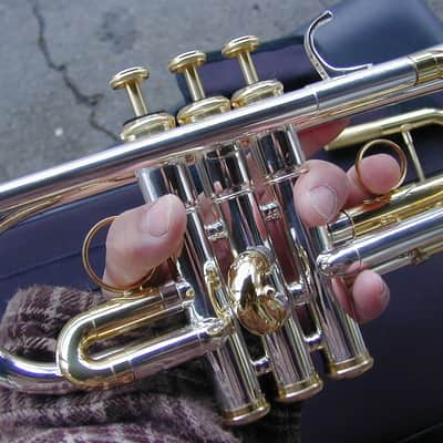Berkeleywind C / Db Trumpet image 8