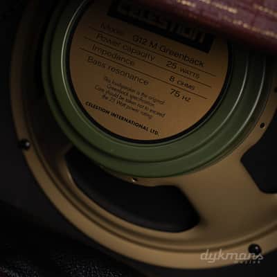 Supro Delegate Custom Combo Bild 5