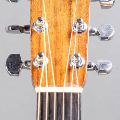 Gallagher G-65 2006, Natural image 4