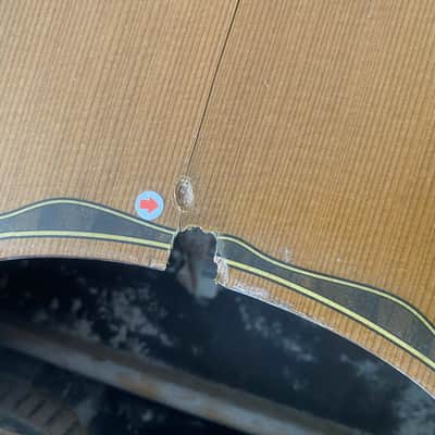 Eko 39 Inch Classical Guitar Project, Spruce Top, Rosewood Body, Mahogany Neck image 14