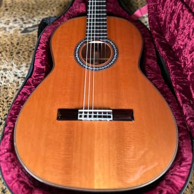 Cordoba C9 Parlor Nylon String Acoustic Guitar Natural image 1