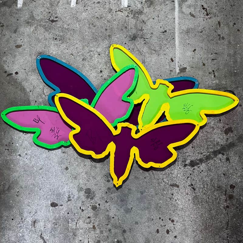 "Alien Coast" Stage Decor Dragonflies signed by Paul & Browan image 1