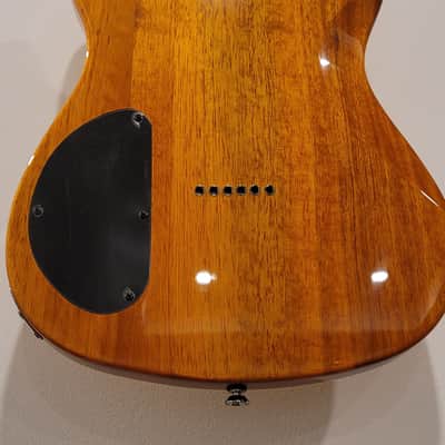 Fender Special Custom FMT HH Telecaster image 14
