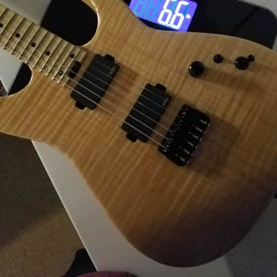 Charvel USA custom shop dinky image 13