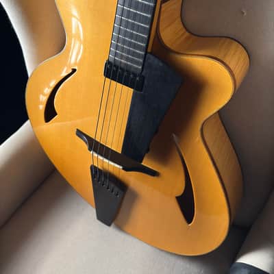 Eastman PG2 Pagelli Archtop 17" image 15