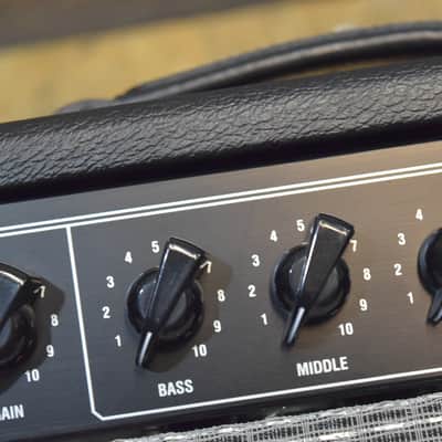 DV Mark DV Gen 15 Silver Generation 15-Watt Tube Guitar Amplifier Head #J9000074 image 13