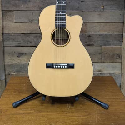 Recording King RP G6 CFE5 Acoustic Electric Guitar w/ gig bag image 2