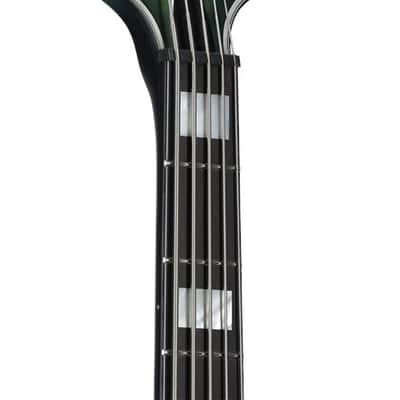 Schecter Daniel Firth Hellraiser Extreme 5 Bass Guitar Cthulu Burst image 4