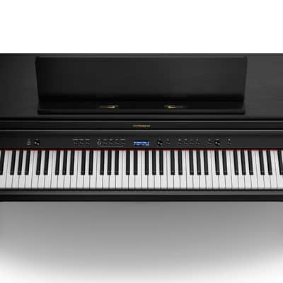 HP704-CH Roland image 8
