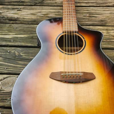 Breedlove Discovery Concert ED 12 St CE 2021 - Gloss Edgeburst Finish-READ DETAILS image 5