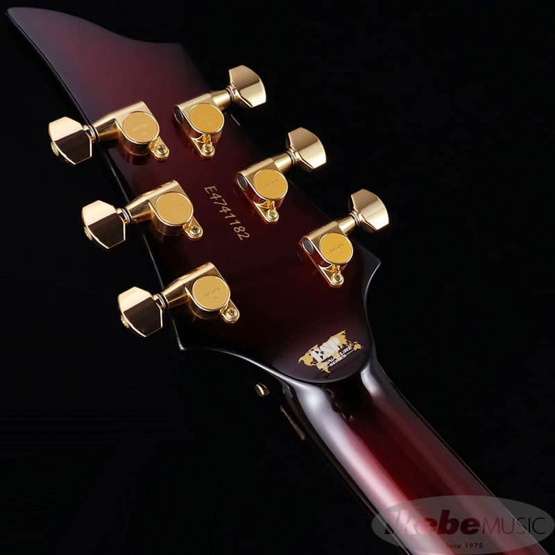 ESP Maiden [Versailles HIZAKI Model] -Made in Japan- | Reverb