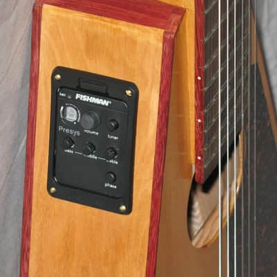 Handmade Crossover Classical Guitar, Flying V, + Pickup & Gigbag image 5