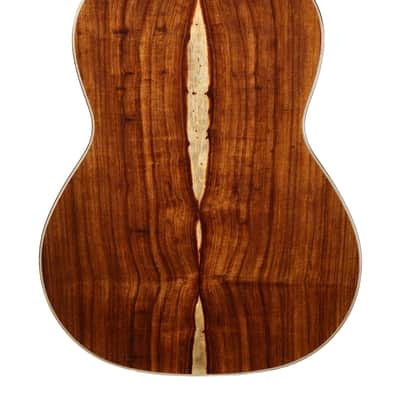 Antonio de Toledo "Ramirez" SP Elevated Fretboard image 5