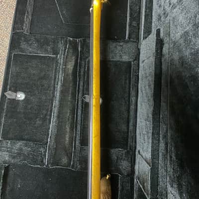 Ritter "The Stone Age Roya" 5 string Fretless Bass image 9