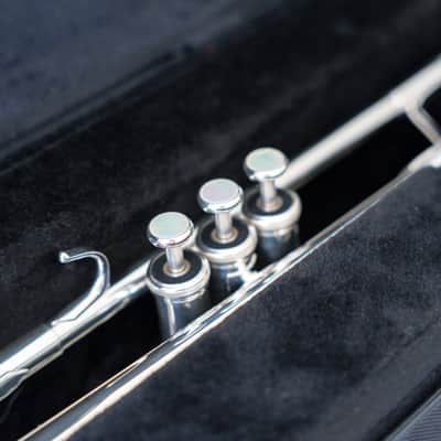 Yamaha YTR-8335S Xeno Bb Trumpet (SN 4687xx) image 14
