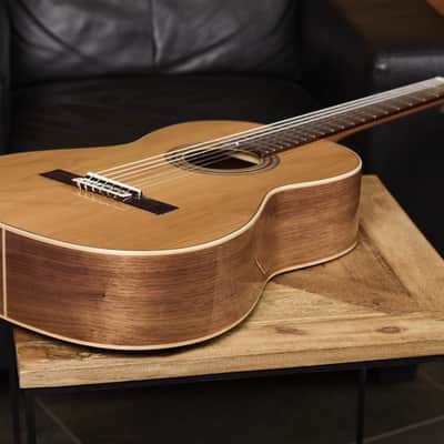 Ortega R20GWN Traditional Series Solid Cedar Top Mahogany Neck Nylon 6-String Classical Acoustic Guitar w/Gig Bag image 20