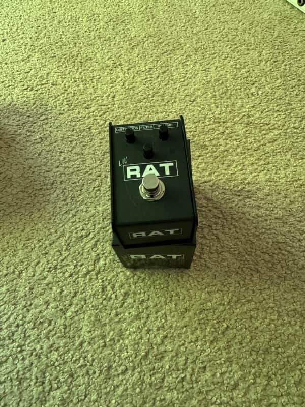ProCo Lil Rat