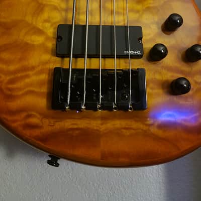 Immagine Spector Q5 Pro 5 String Emghz 35" scale
W/ tan Ibanez Power Pad (Soft Case) - 5
