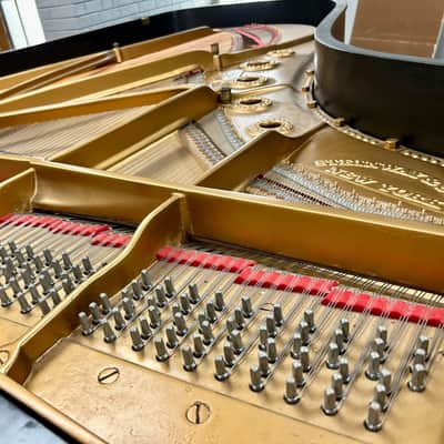 1950 Steinway & Sons Model B - 6'11" Grand Piano Exceptional Value image 10