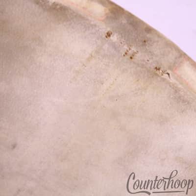 *Ludwig 2x 12" Calf Skin Drum Heads Maple Flesh Hoops Batter/Resonant Snare 20s* image 5