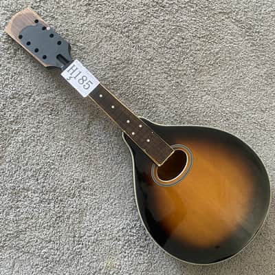 Sunburst 8 String Mandolin Project, Spruce Top, Mahogany Body, Rosewood Fingerboard image 1