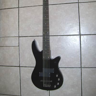 10 string bass guitar, New image 1