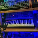 Moog Grandmother Dark 32-Key Semi-Modular Analog Synthesizer 2020 - Present - Black / Black Panel