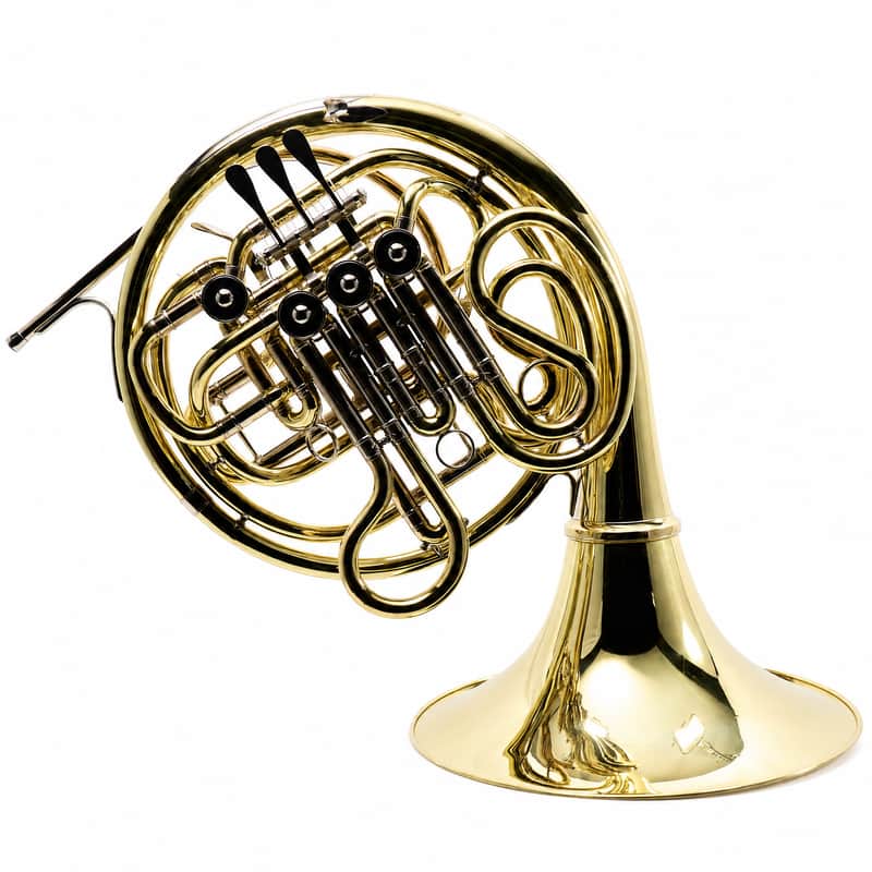 Yamaha YHR-668D Professional Double French Horn with Screw Bell SN 001227 image 1