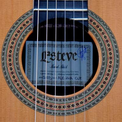 Esteve Alegria crossover cutaway / lattice braced / cedar top/48 mm nut width image 4