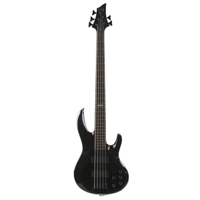 ESP Ltd 5-String Bass Owned by Greg Howe image 1