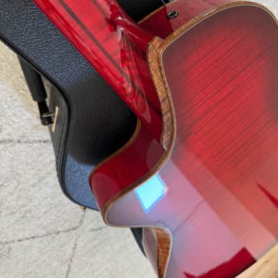 5 String Bass - Jazz Archtop - Semi Acoustic - Master Luthier image 20