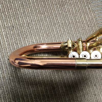 Rare Blessing B155 Artist 4-Valve Flugelhorn W/ Rose Brass Bell, New ProTec Case! image 11
