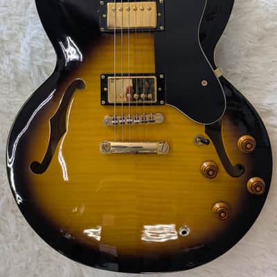 Epiphone Dot Deluxe electric guitar in Tobacco Sunburst with a hardshell case image 3