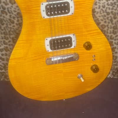 PRS SE Paul's Guitar image 1