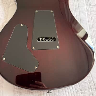 PRS SE Custom 22 2008 - Tobacco burst with Hiscox 'PRS' hard case image 6