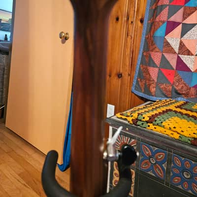 Kevin Enoch Tradesman Fretless Nylgut image 7