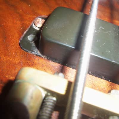 Alembic Epic 5 String Bass 1994 Natural image 7