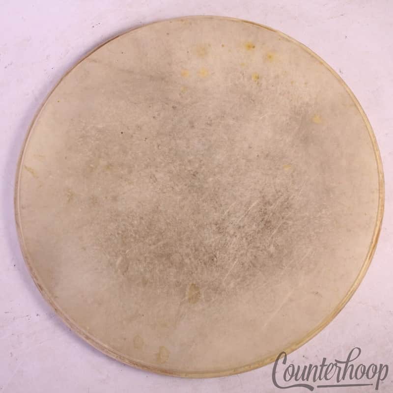 *Leedy Snare/Floor Tom 14"Calf Skin Drum Batter/Resonant Head Vintage 30s USA* image 1