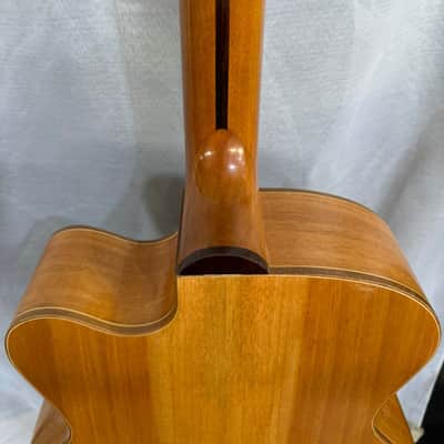 Blueberry Handmade Hollow Body Electric Guitar Rapunzel Motif image 12