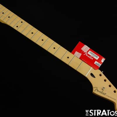 Fender Jimmie Vaughan Stratocaster Strat NECK Guitar JV Maple image 2