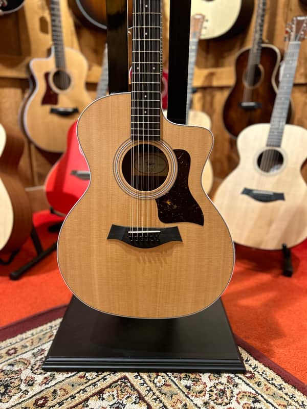 Taylor 12 String 254ce Grand Auditorium Acoustic Guitar, Free Shipping image 1