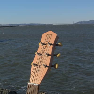 Danelectro DC59 90's Salmon Pink image 6