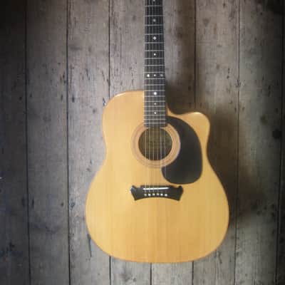 Zemaitis Acoustic - Very rare 1960's Cutaway - Super Rare! image 1