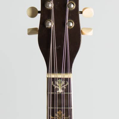 Bacon Orchestra Style B Mandolin Banjo, c. 1917, original black hard shell case. image 5
