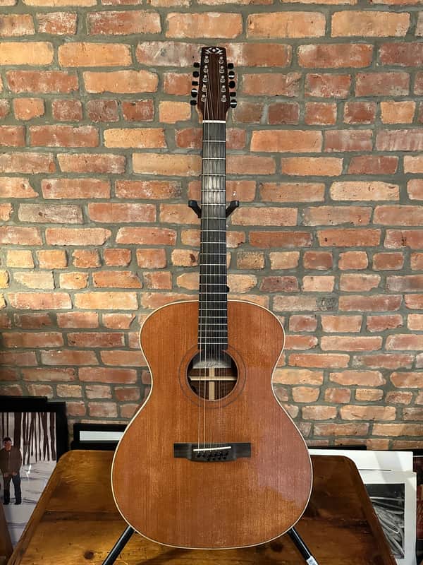 Circle Strings Acoustic Guitar 10-String Walnut and Sinker Redwood Rare Custom image 1