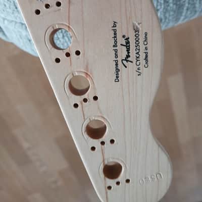 Fended squier Thinline telecaster Early '2000's - Maple image 4