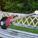 Lakland 44-02 Skyline 2010 black