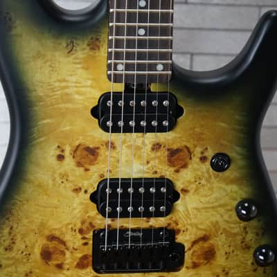 Sterling Jason Richardson 6 Signature Cutlass - Natural Poplar Burst - With Gig Bag image 5