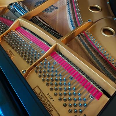 Wurlitzer C153 Mid 1980’s - Ebony image 6