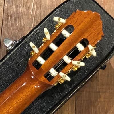 Yamaha GC-41 1998-2008 Lacquer image 11